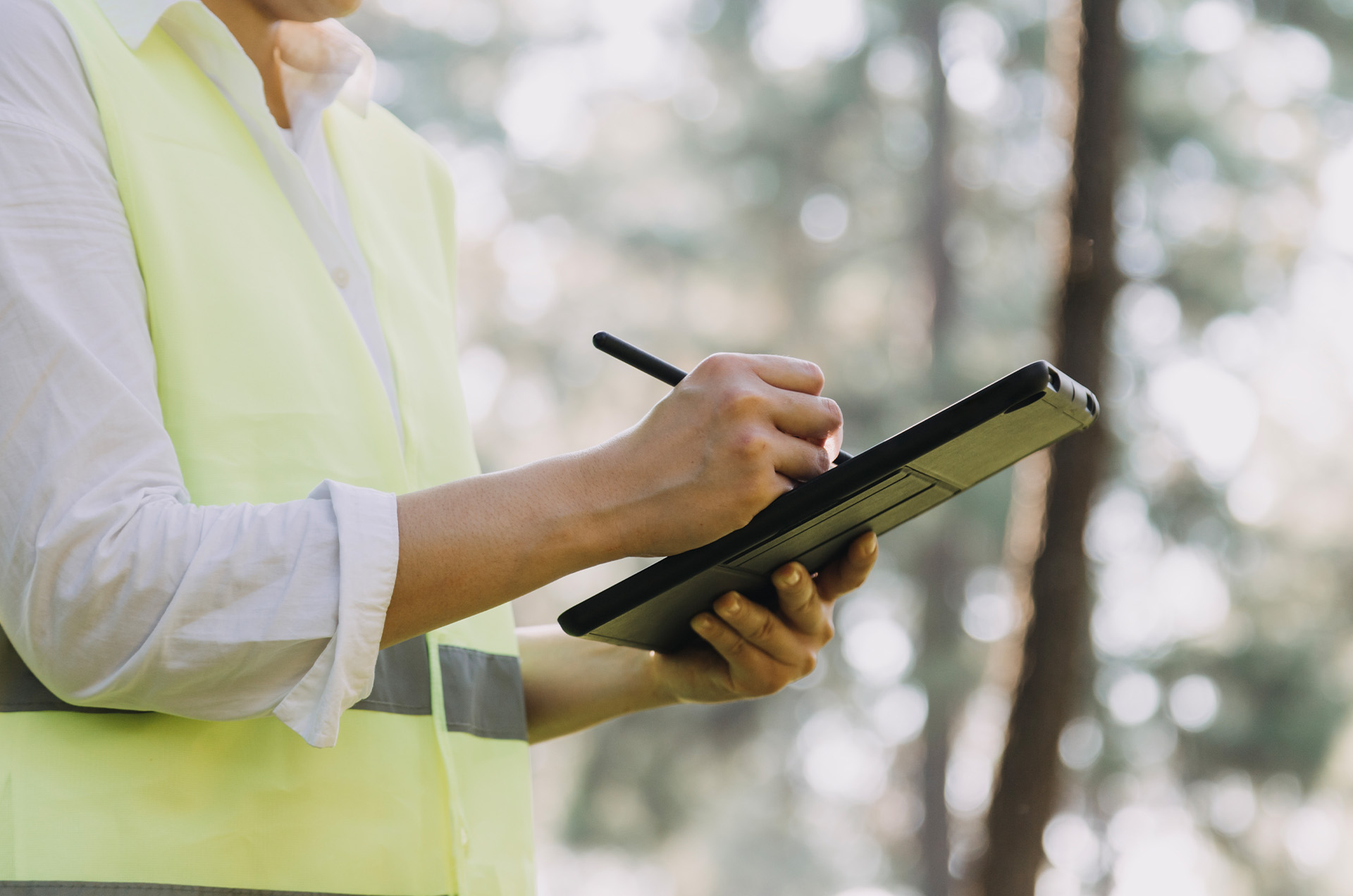 Viamont | Environmental Impact Assesment Study